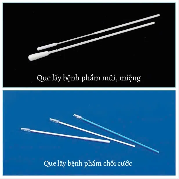 Que gòn, que lấy bệnh phẩm các loại
