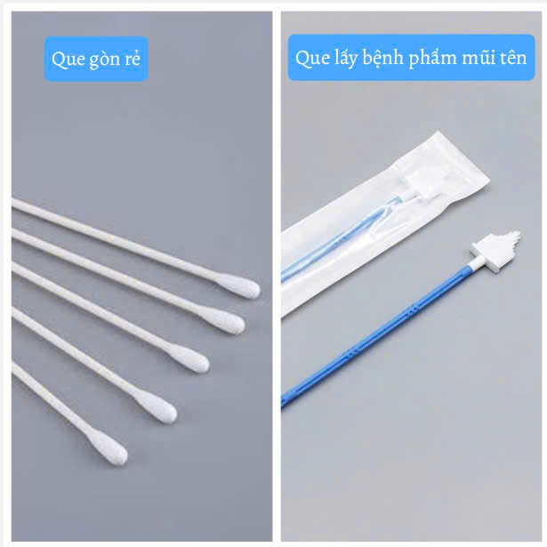 Que gòn, que lấy bệnh phẩm các loại